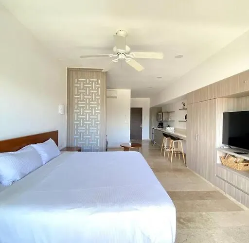 Pura Playa Luxury Condo 5Th Avenue Rooftop Ocean View