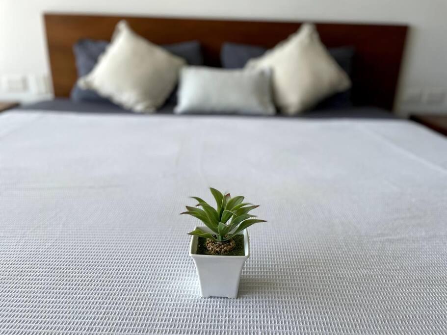 Apartamento Pura Playa Luxury 5th Avenue Rooftop Ocean View Playa del Carmen