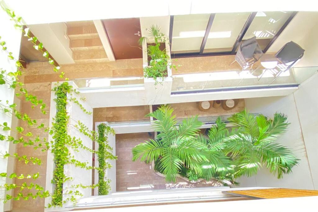 Pura Playa Luxury 5th Avenue Rooftop Ocean View *