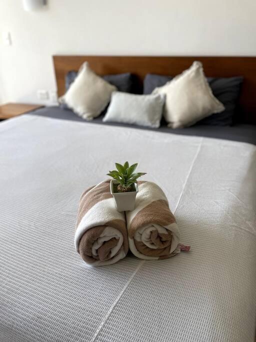 Pura Playa Luxury 5th Avenue Rooftop Ocean View * Playa del Carmen